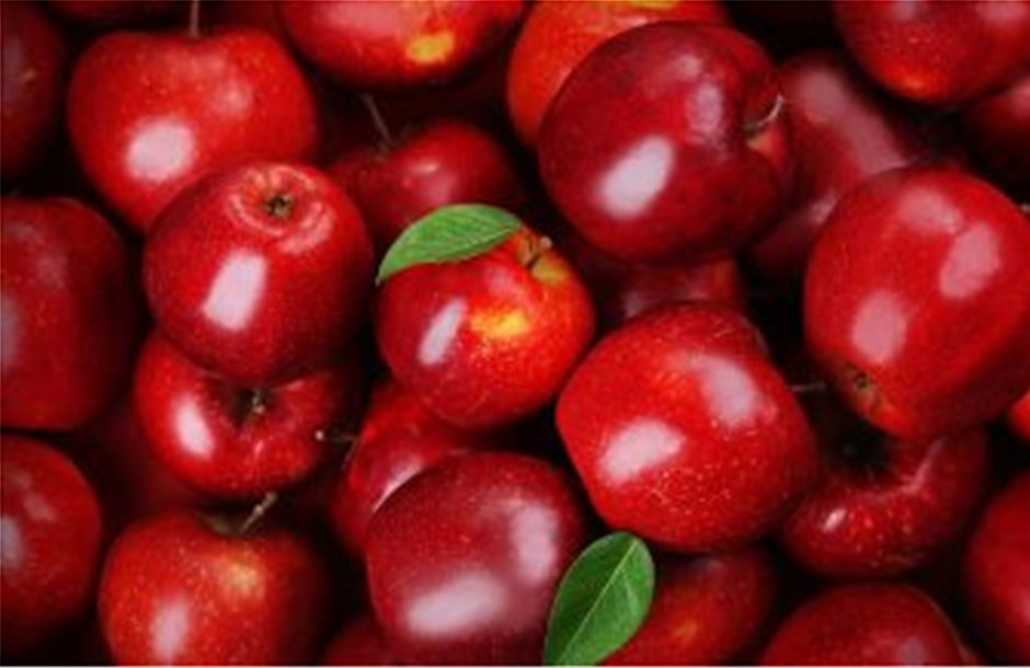 Στο ερώτημα πως προέκυψαν περίπου 7.500 ποικιλίες του μήλου απαντά η επιστήμη